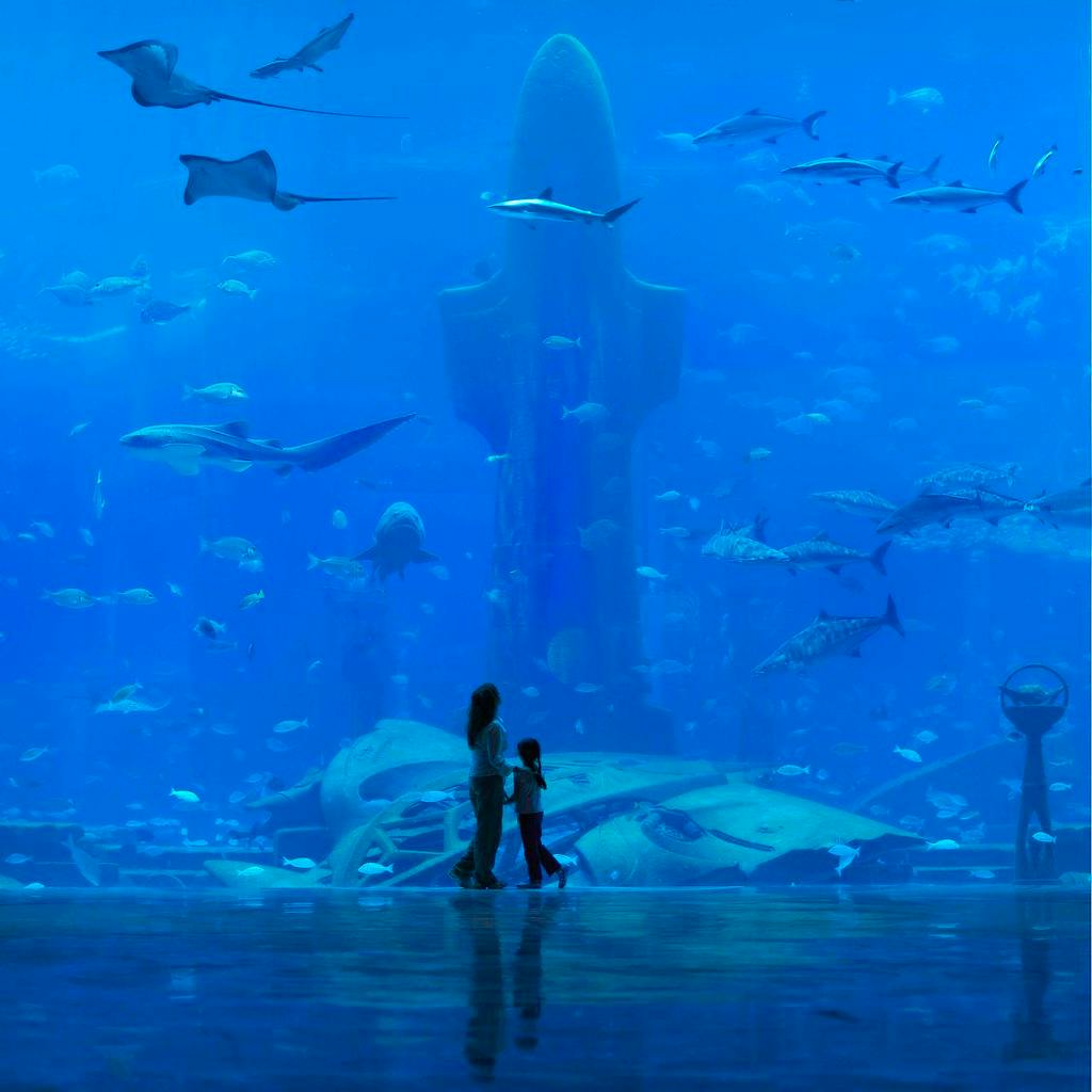 Go Diving or Snorkeling in the Ambassador Lagoon